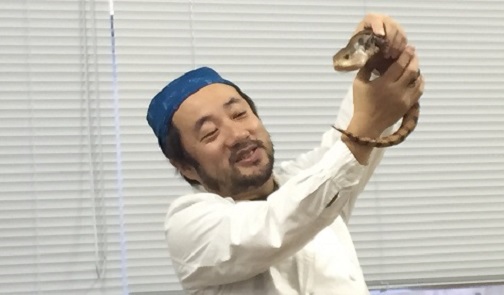 アオジタトカゲ