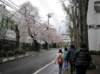 学校前