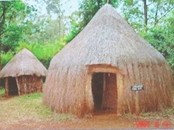 住居